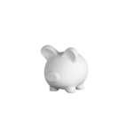 Tirelire cochon - 30€